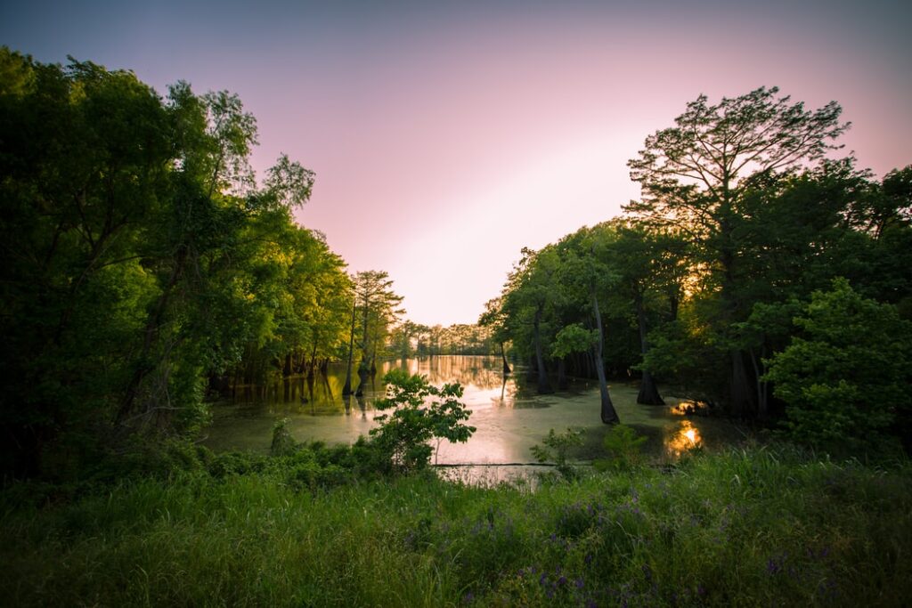 medicinal marijuana mississippi